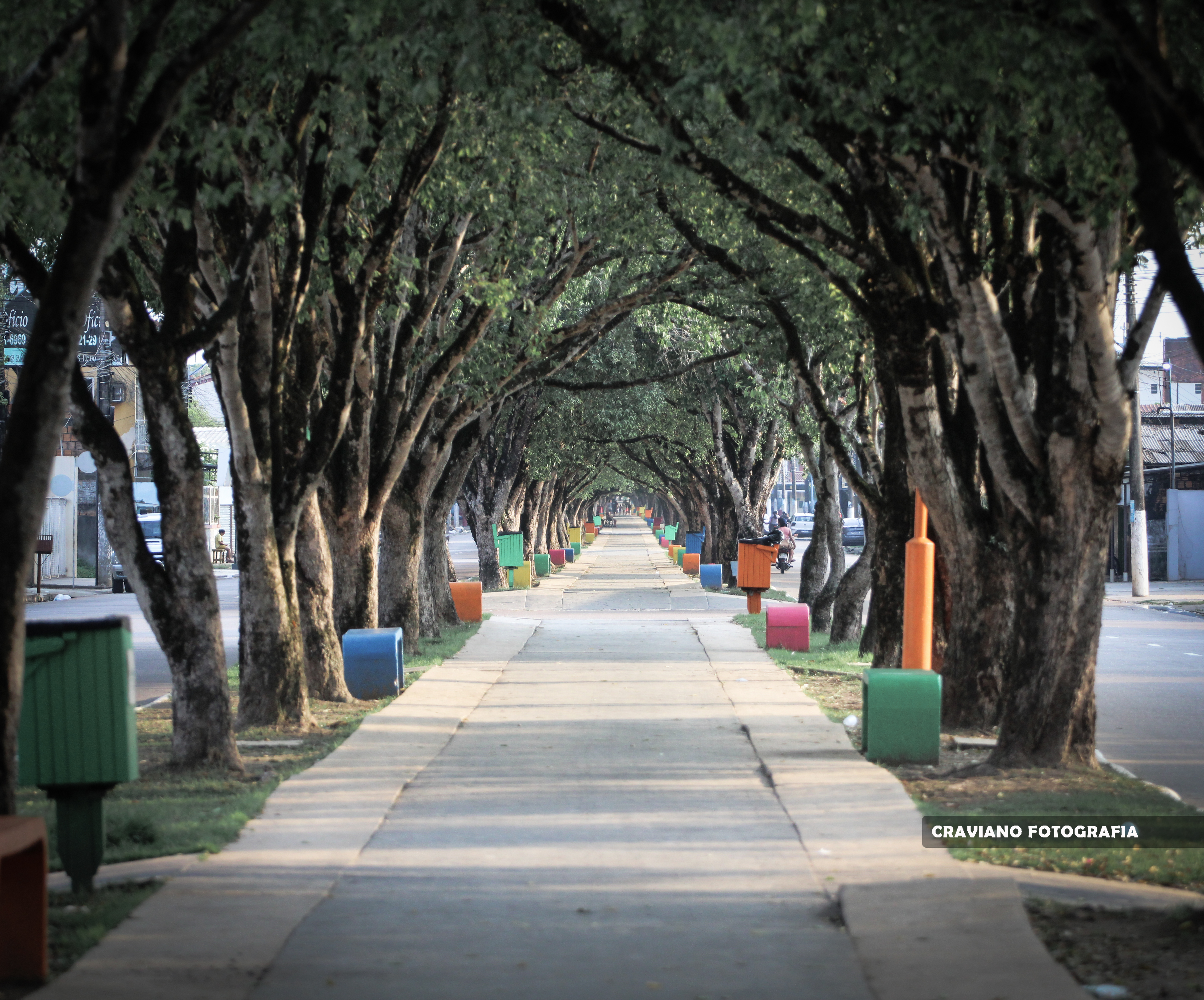 Túnel Verde de Itacoatiara: conheça a história da Avenida Parque