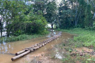 Bairro do Jauary 1: Um Recanto com Raízes na Natureza em Itacoatiara e o Pulso do Comércio Ribeirinho